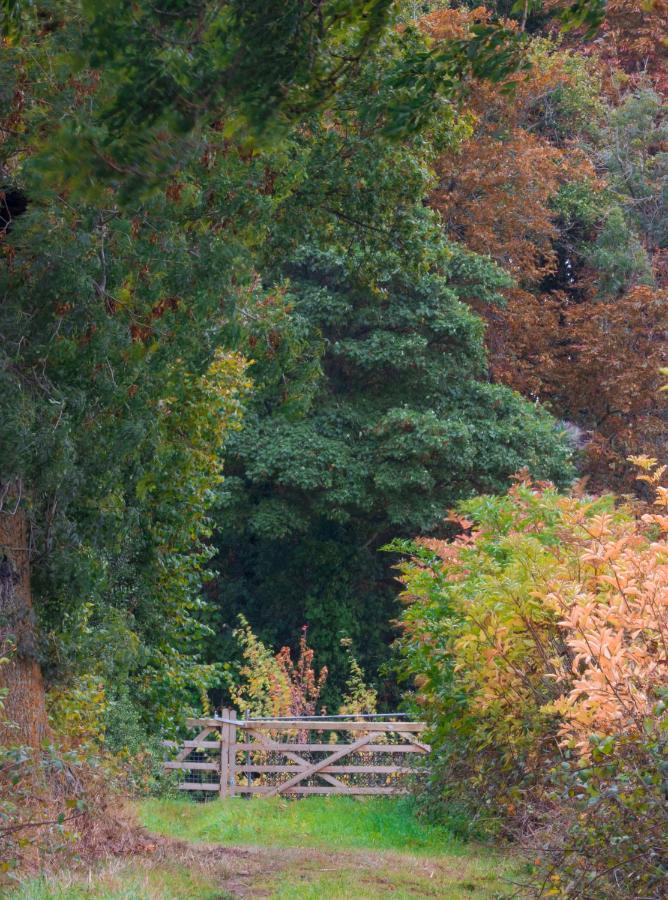 Hollins Farm - Dog Friendly, Self Catering *