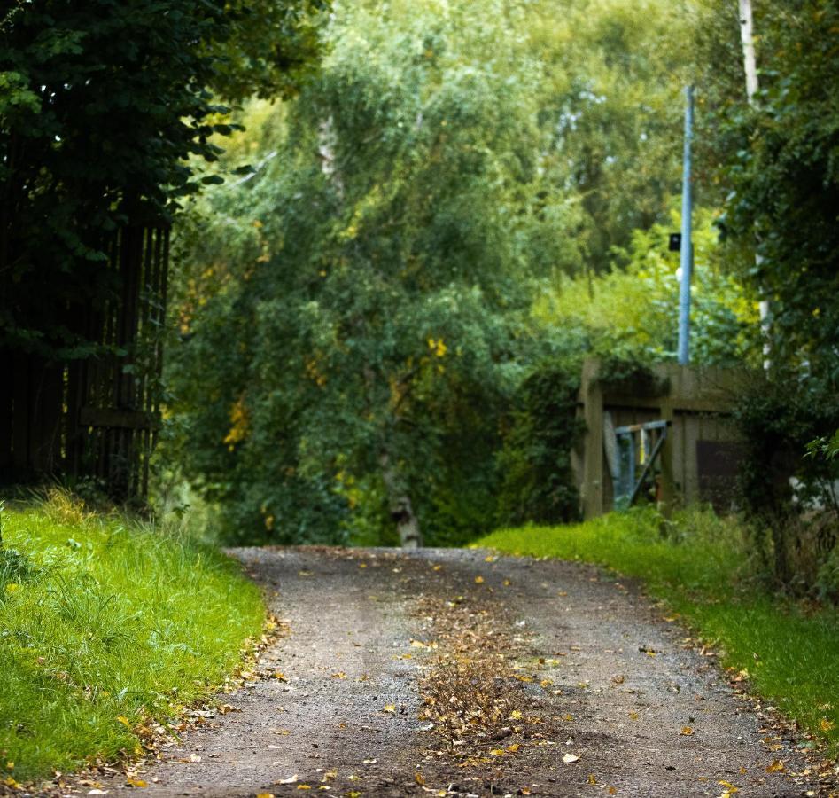 Lodge Hollins Farm - Dog Friendly, Self Catering Knaresborough
