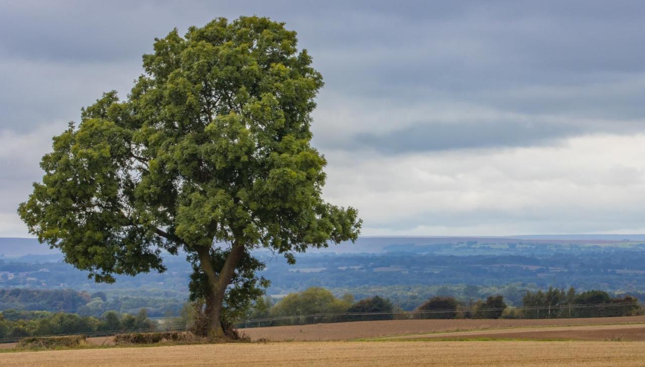 Hollins Farm - Dog Friendly, Self Catering Lodge *