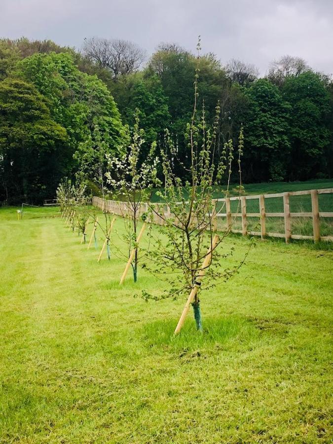 Lodge Hollins Farm - Dog Friendly, Self Catering *