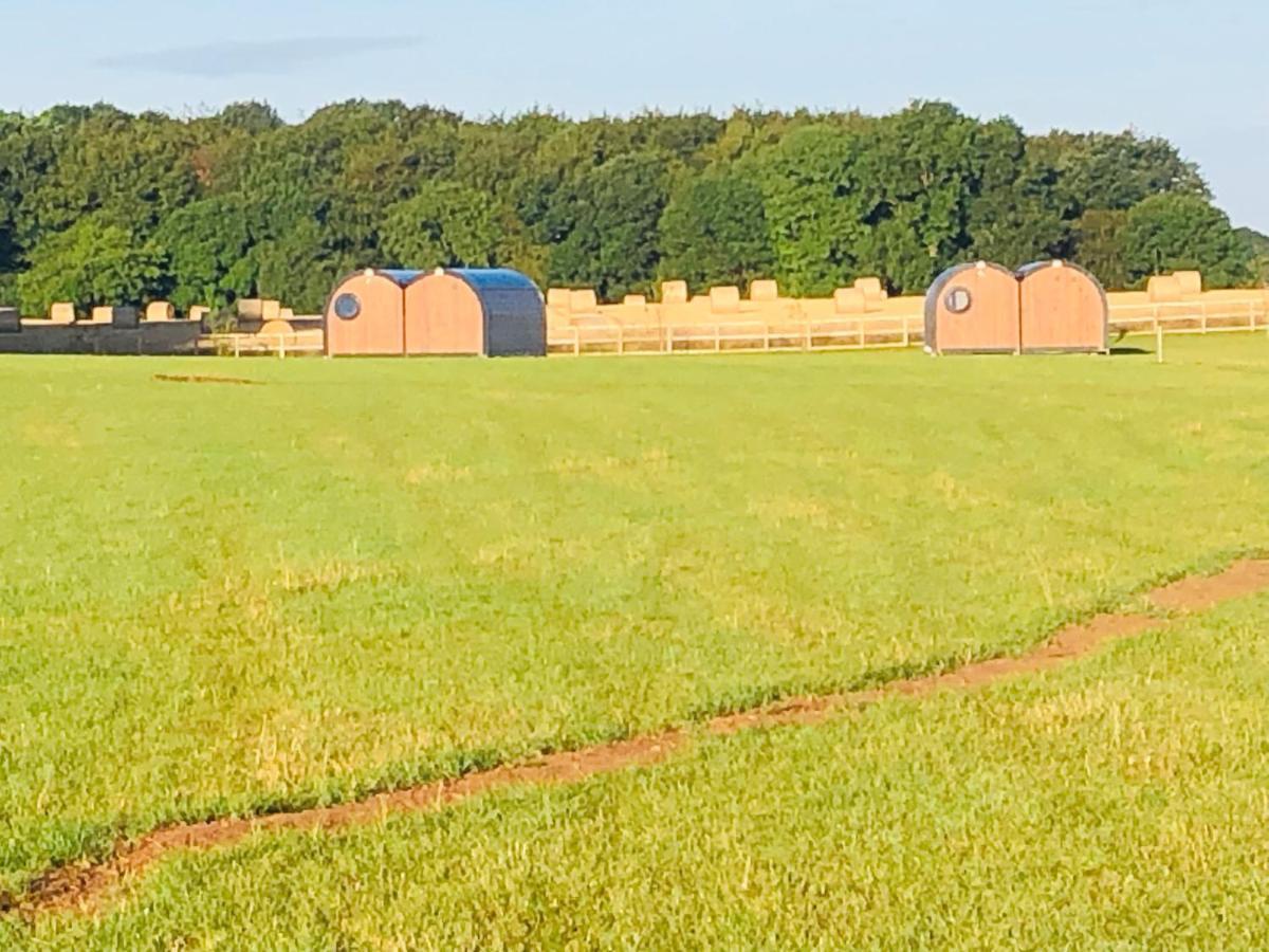 Hollins Farm - Dog Friendly, Self Catering * Knaresborough